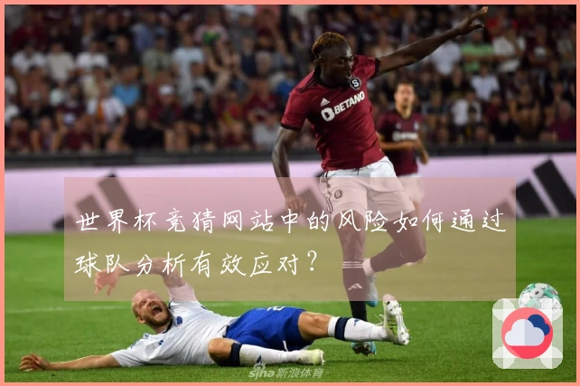 世界杯竞猜网站中的风险如何通过球队分析有效应对？