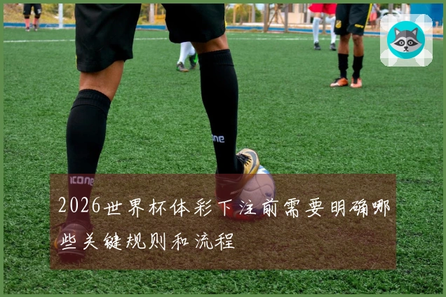 2026世界杯体彩下注前需要明确哪些关键规则和流程